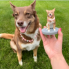 Fully Customizable Figure Bobblehead - One Pet