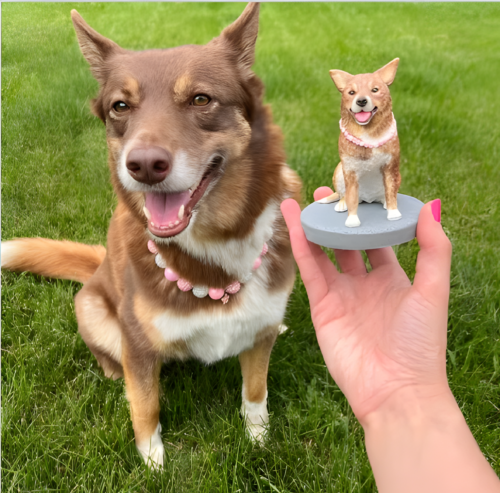 Fully Customizable Figure Bobblehead - One Pet