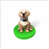 Pet Handmade Clay Customization