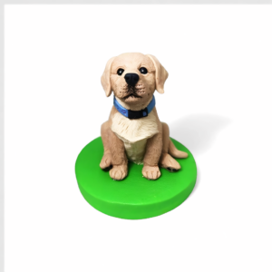 Pet Handmade Clay Customization