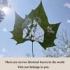 Hand-carved maple leaf customization