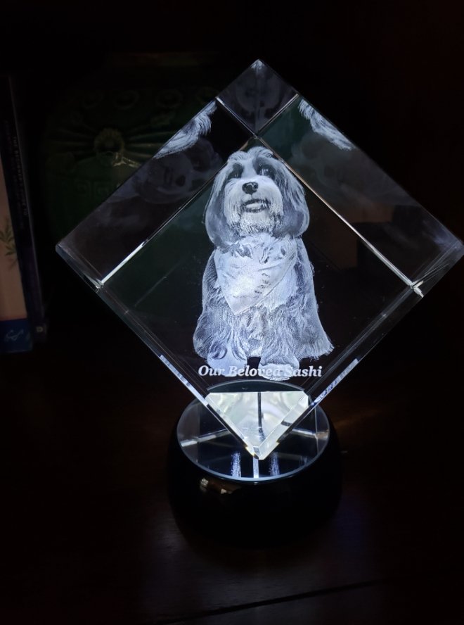 Crystal engraving picture custom gift 3D